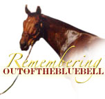 Remembering Outofthebluebell
