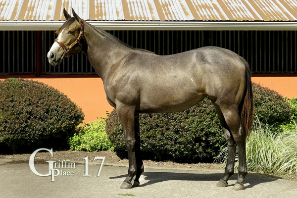 2024-hip-17 5